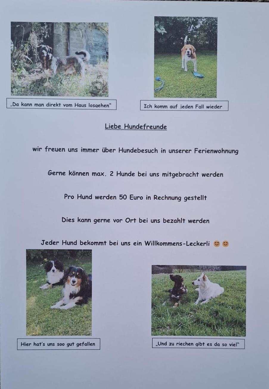 Ferienwohnung Abendrot Assling Exteriér fotografie